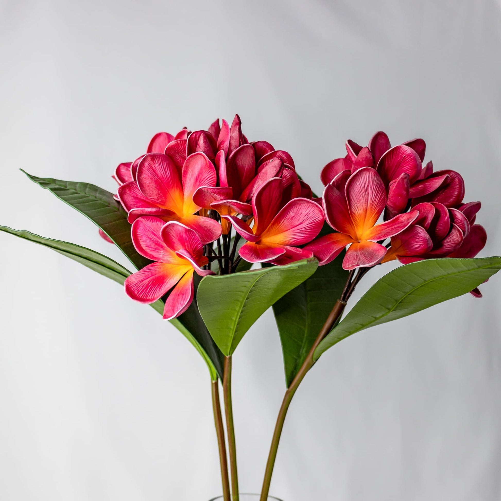 Red & Pink Frangipani Bunch - Realistic Artificial Flowers