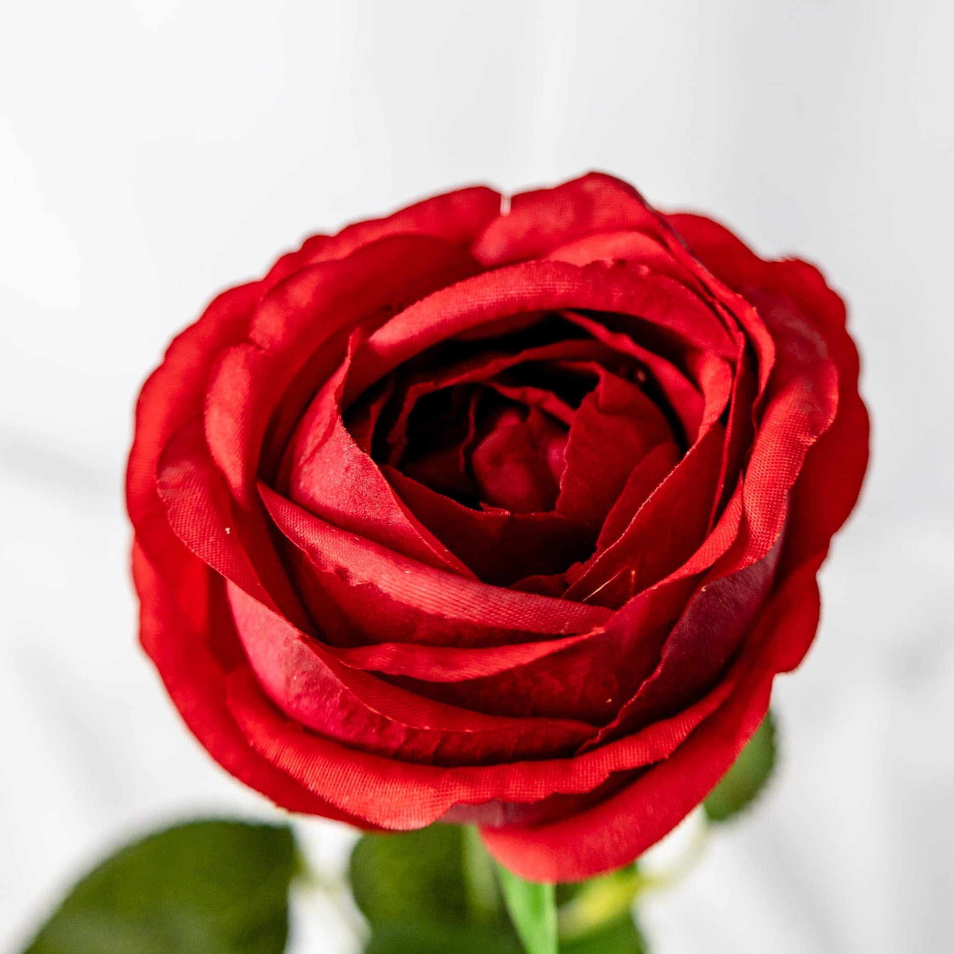 artificial Red David Austin Real Touch Open Bud Rose closer look