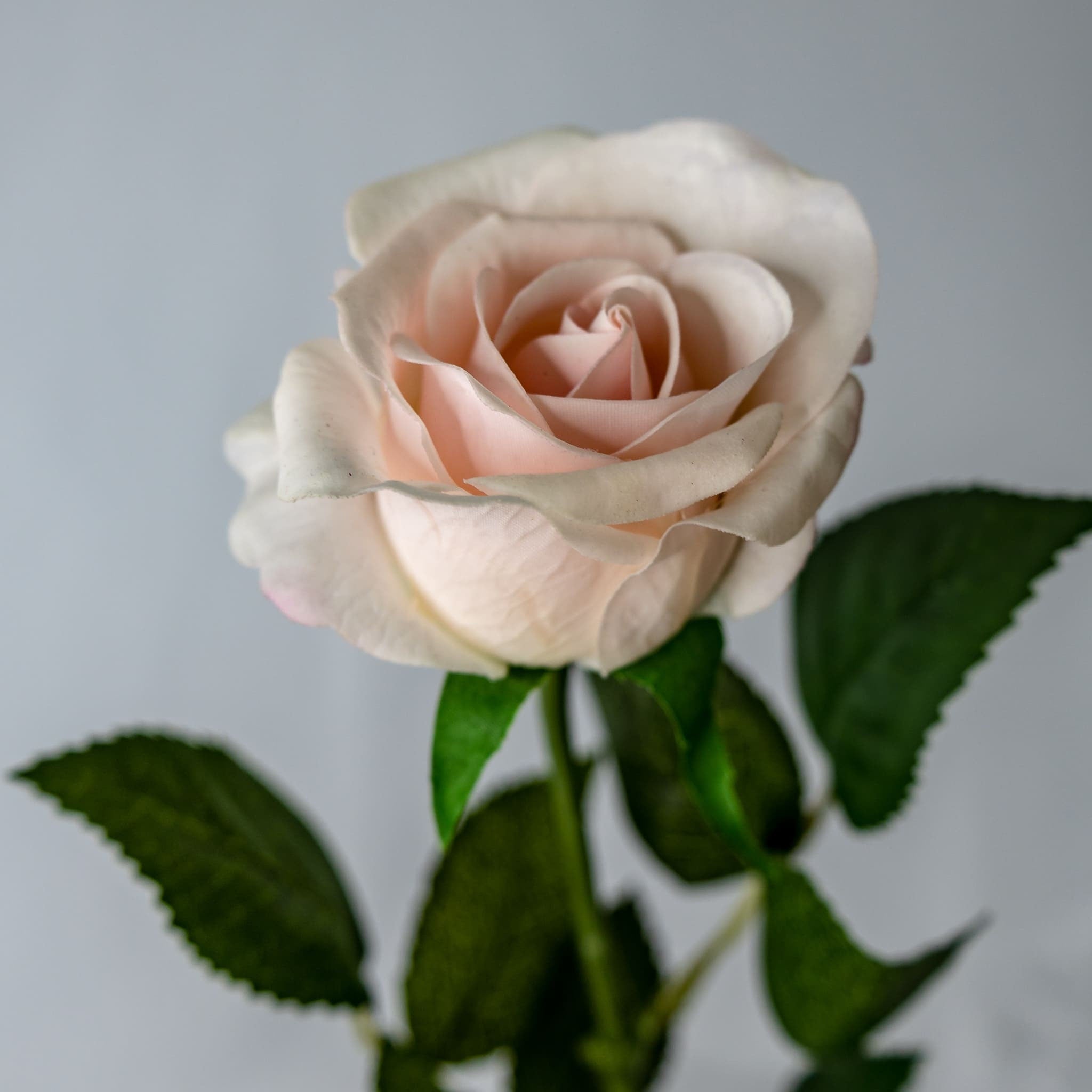 Realastic Roses Roses - Realistic Artificial Flowers