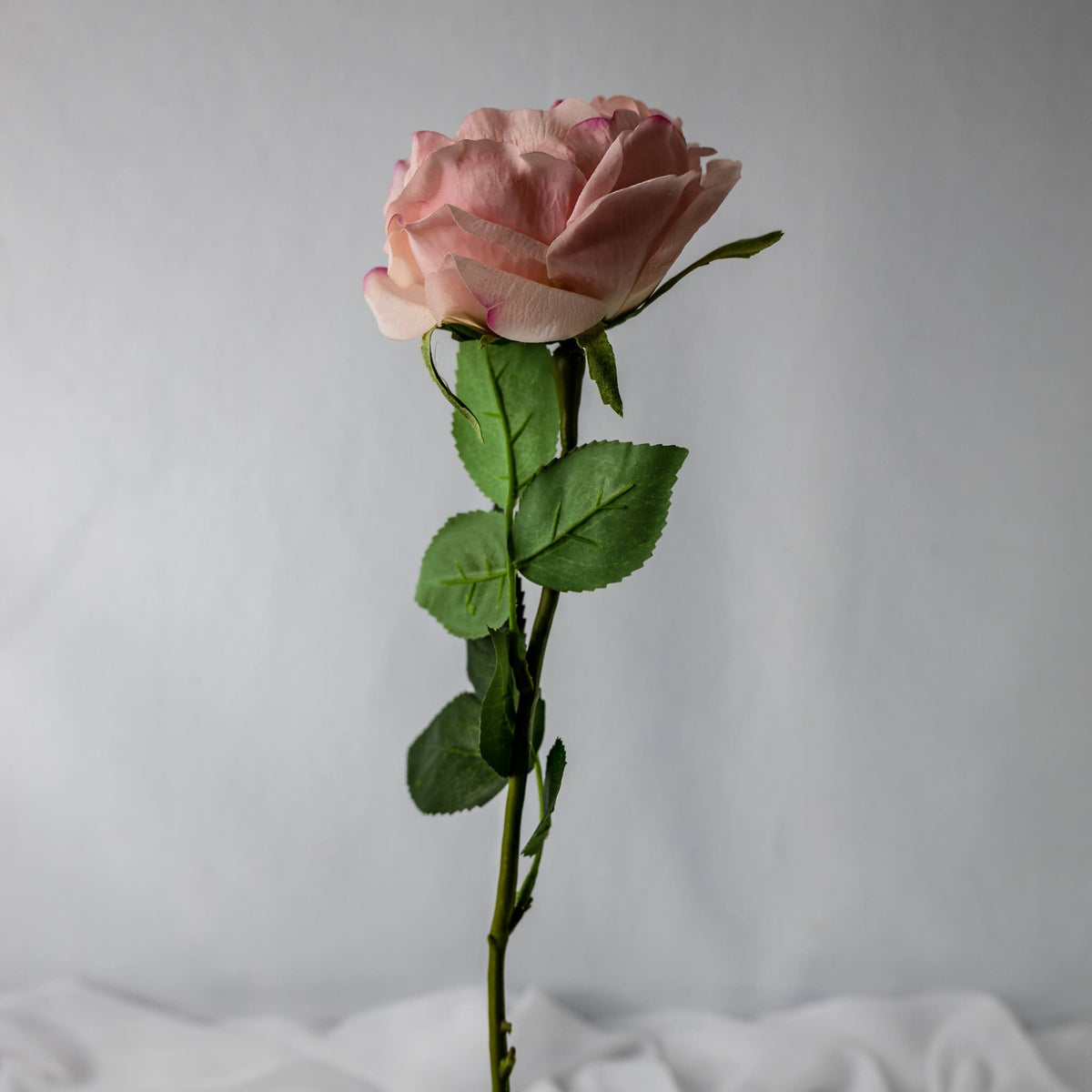 Qs Roses Dusky Pink David Austin Half Bloom Real Touch Rose - Realistic Artific ...