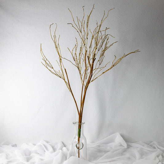 Dodo Branch Twigs (6 Pack) - Realistic Artificial Flowers and Greenery