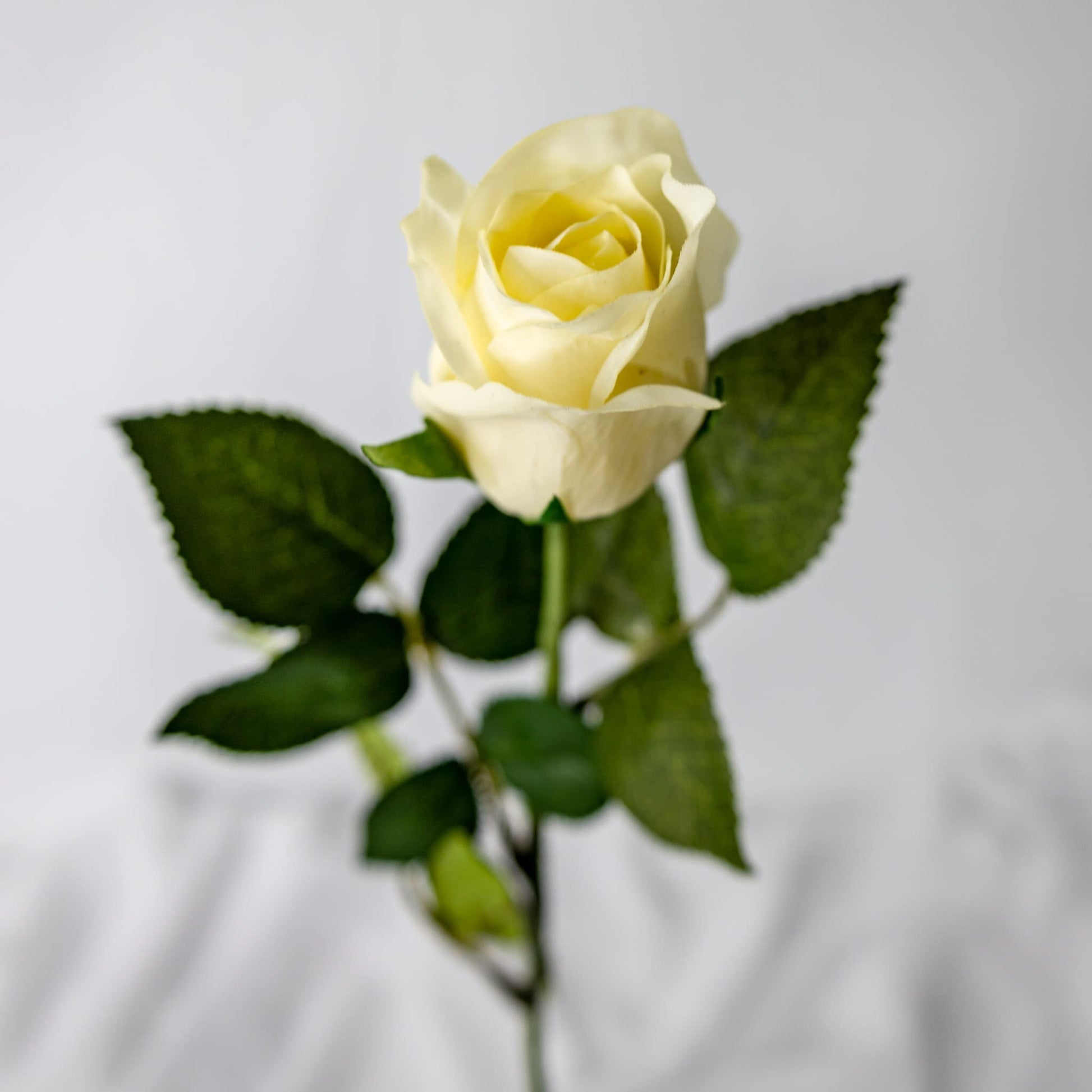 Cream Real Touch Rose Open Bud - Realistic Artificial Flowers