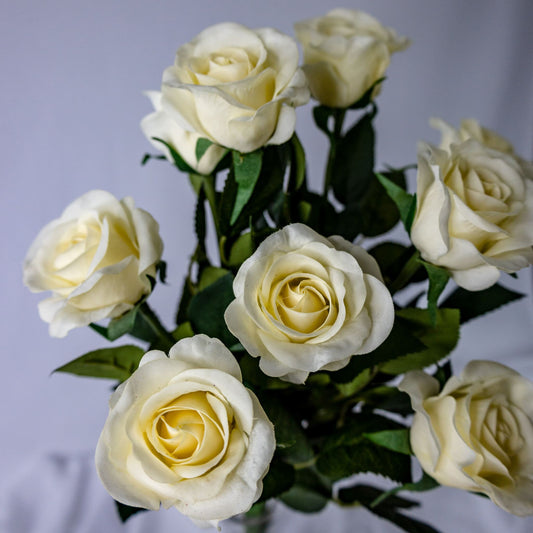 Cream Real Touch Half Bloom Roses closer look