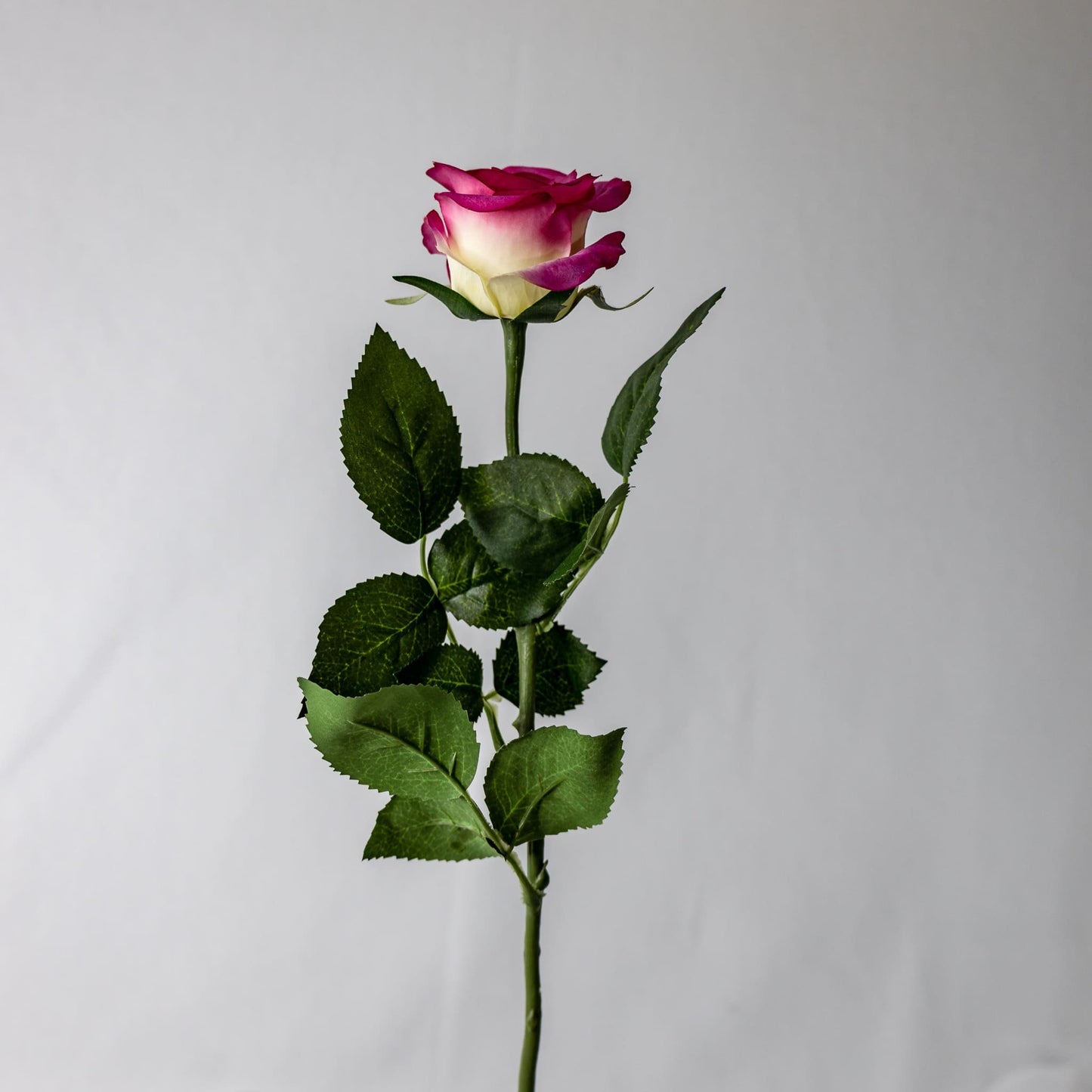 artificial Cream Fuchsia Real Touch Rose