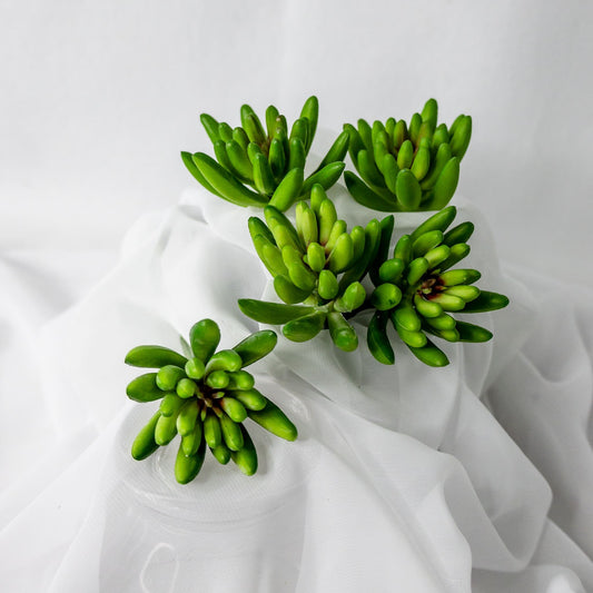 artificial Claw Lotus Succulents