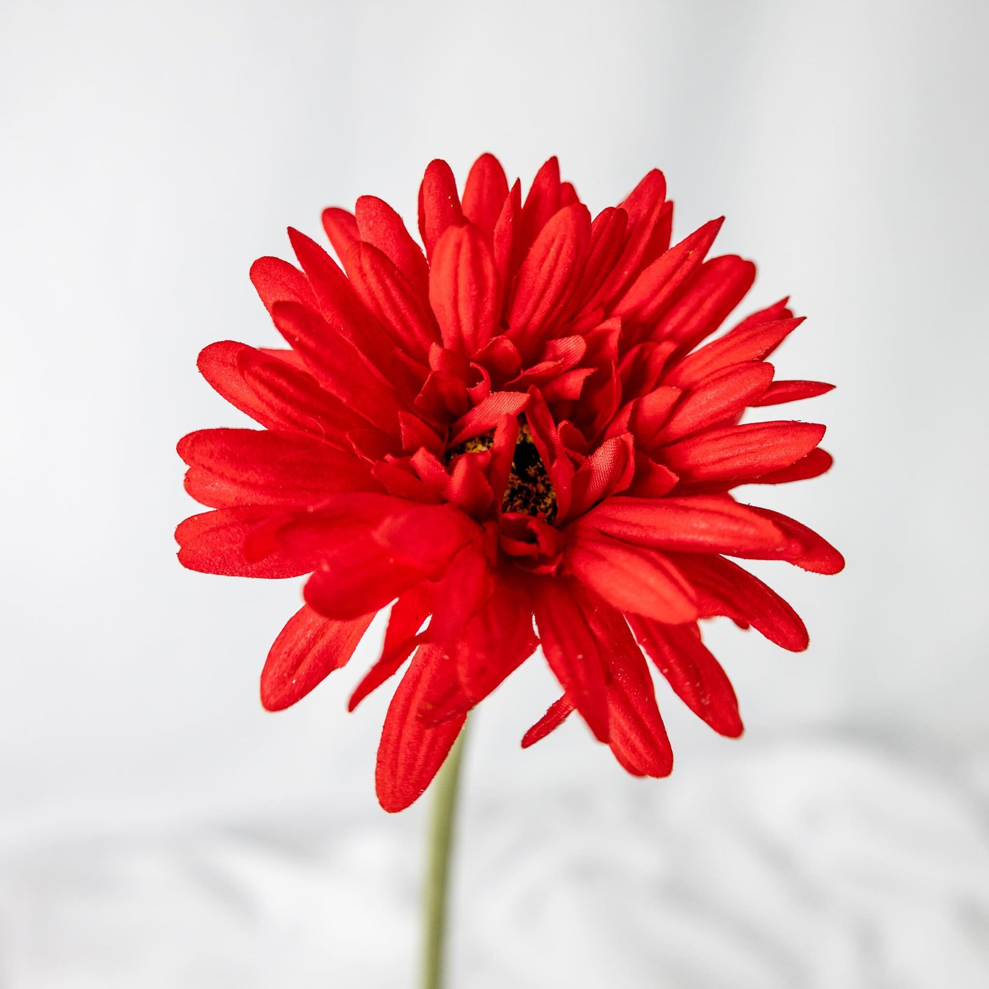 Red Real Touch Gerbera - Realistic Artificial Flowers