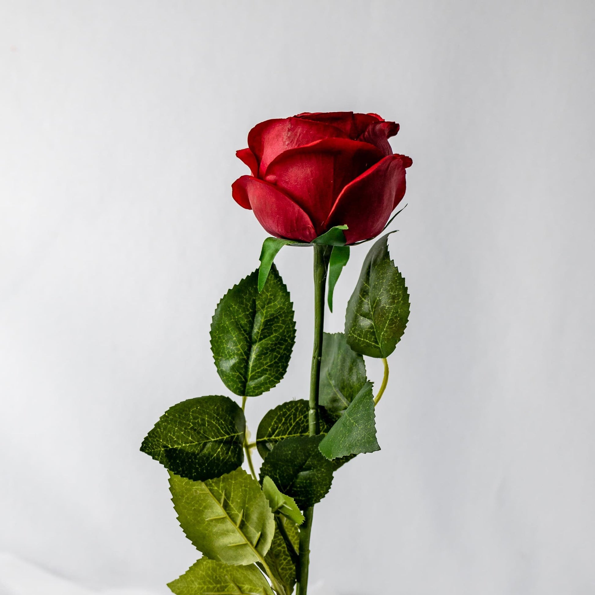 Red David Austin Real Touch Open Bud Rose - Realistic Artificial Flowe ...
