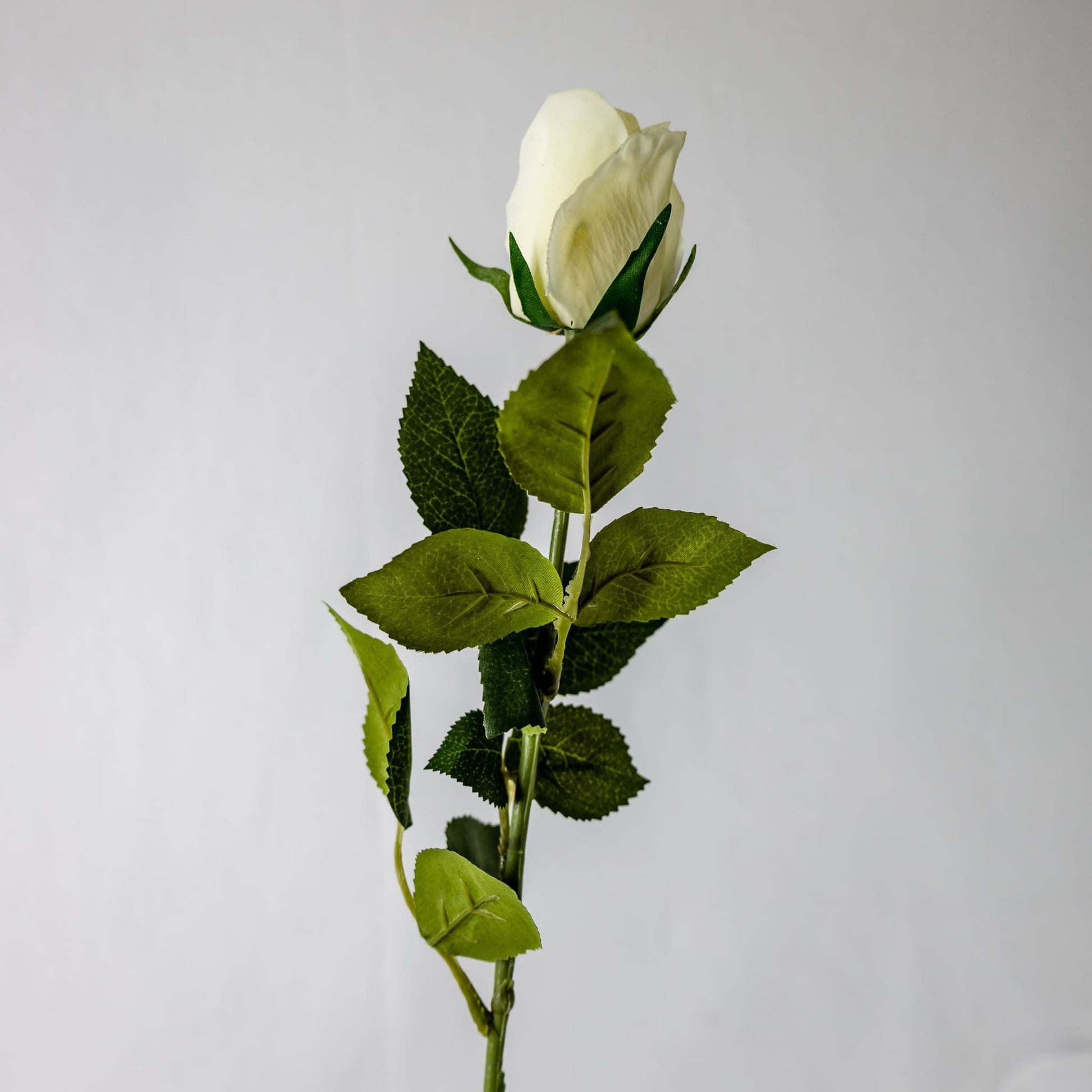 Bridal White Real Touch Open Bud Rose - Realistic Artificial Flowers