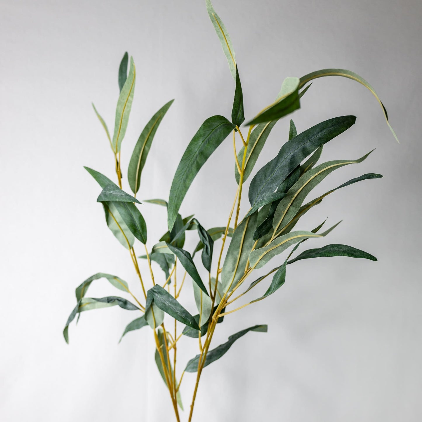 artificial Longleaf Eucalyptus