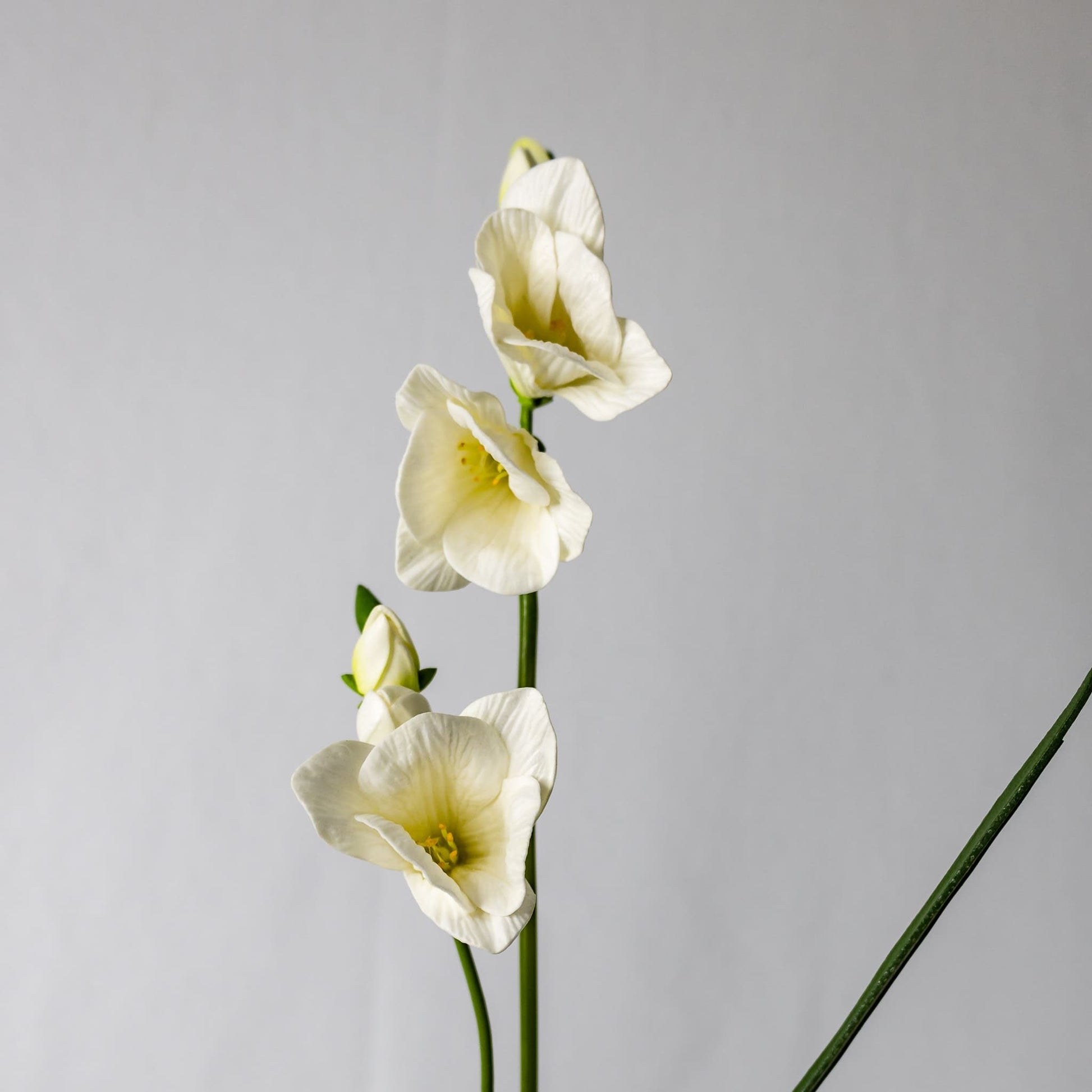 Freesia White Real Touch - Realistic Artificial Flowers