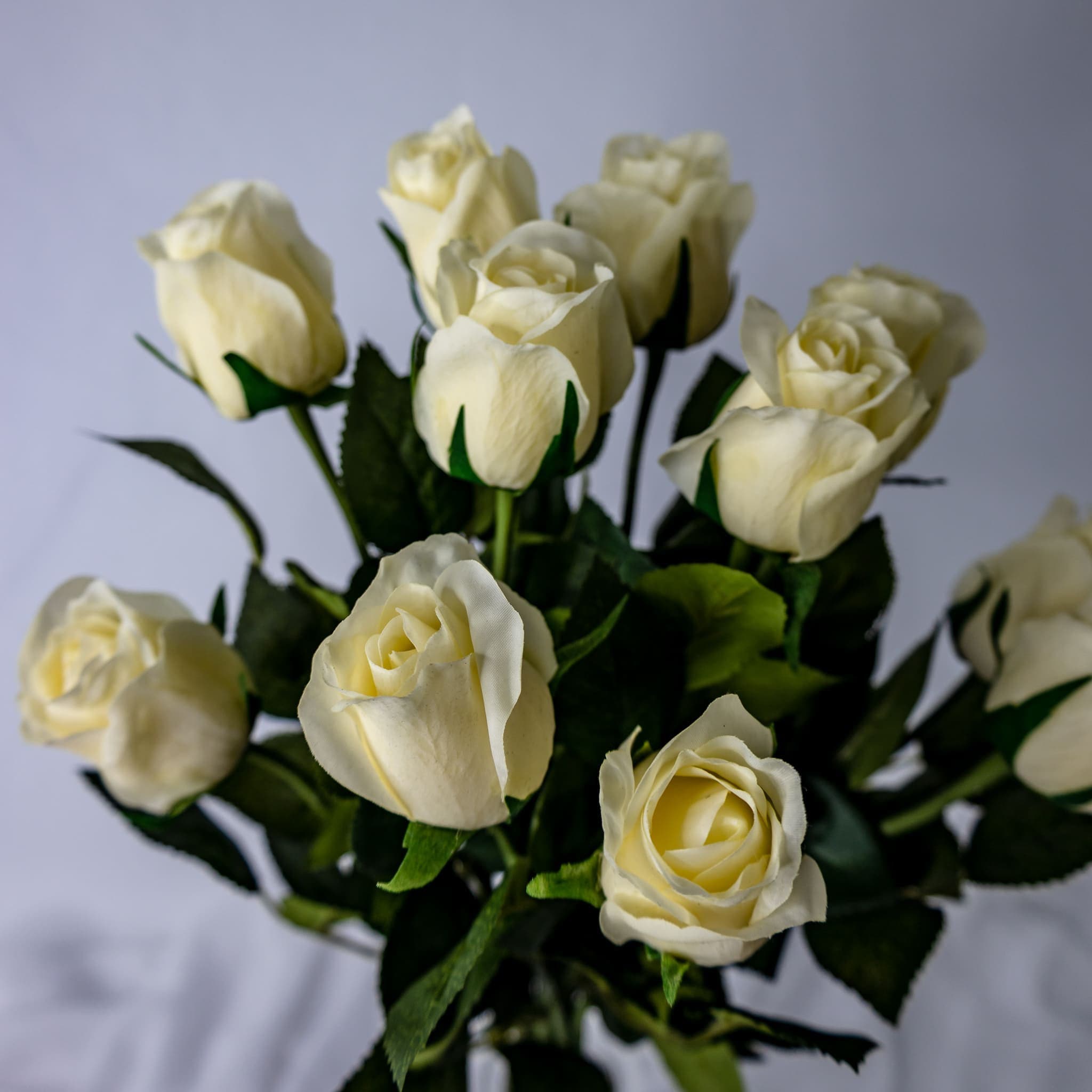 Cream Real Touch Open Bud Rose- Realistic Artificial Flowers
