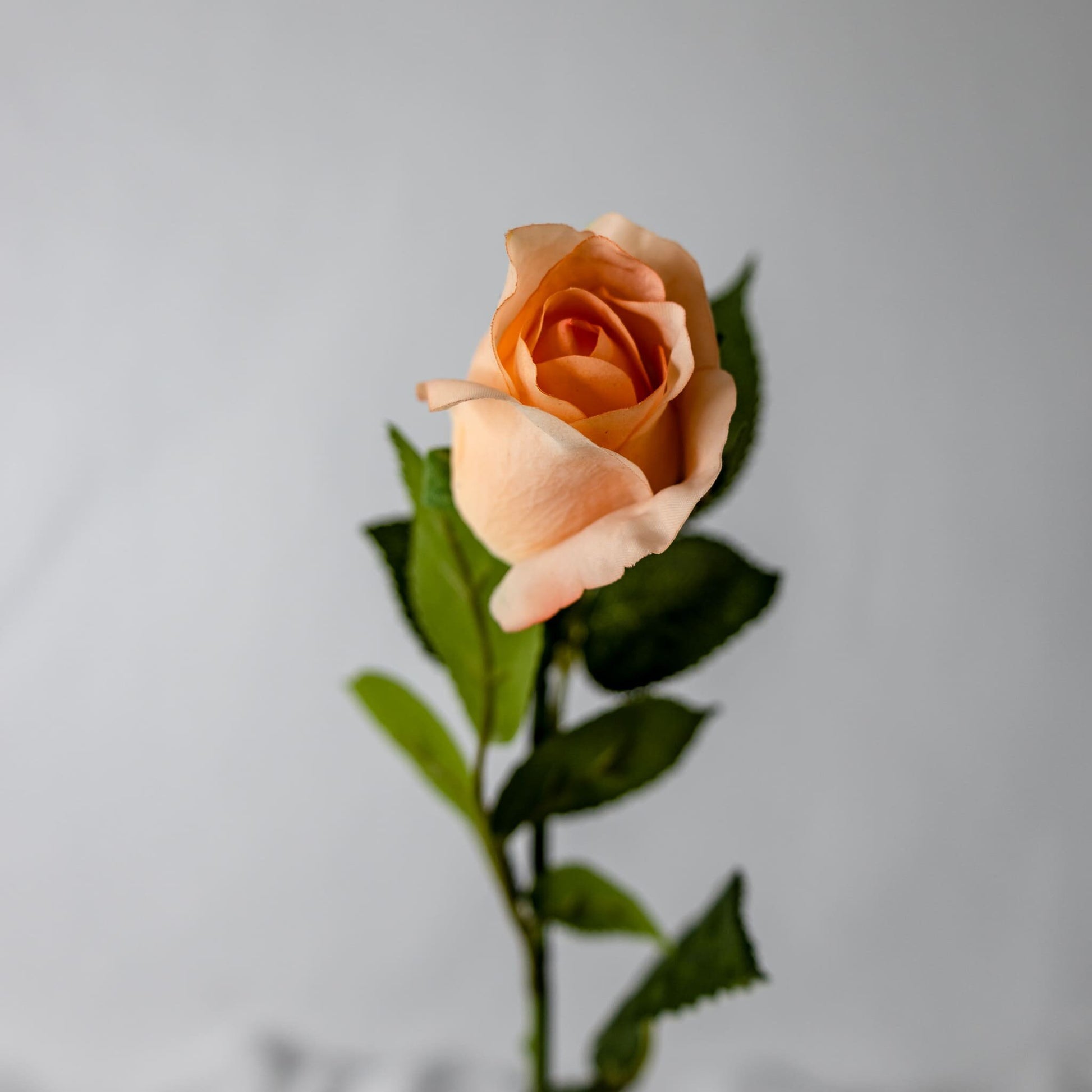 Coral Real Touch Open Bud Rose - Realistic Artificial Flowers