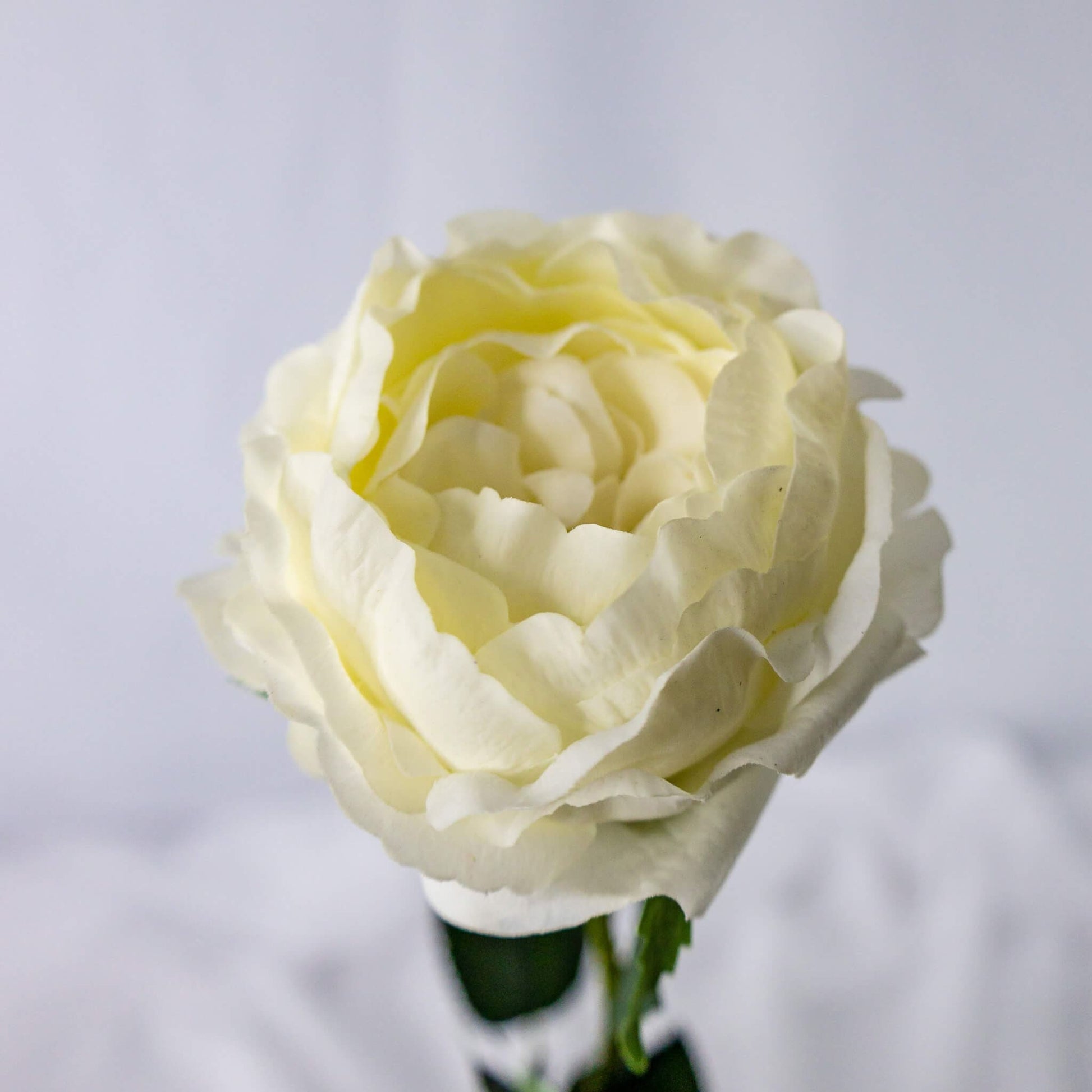 Bridal White David Austin Real Touch Half Bloom Rose - Realistic Artificial Flowers