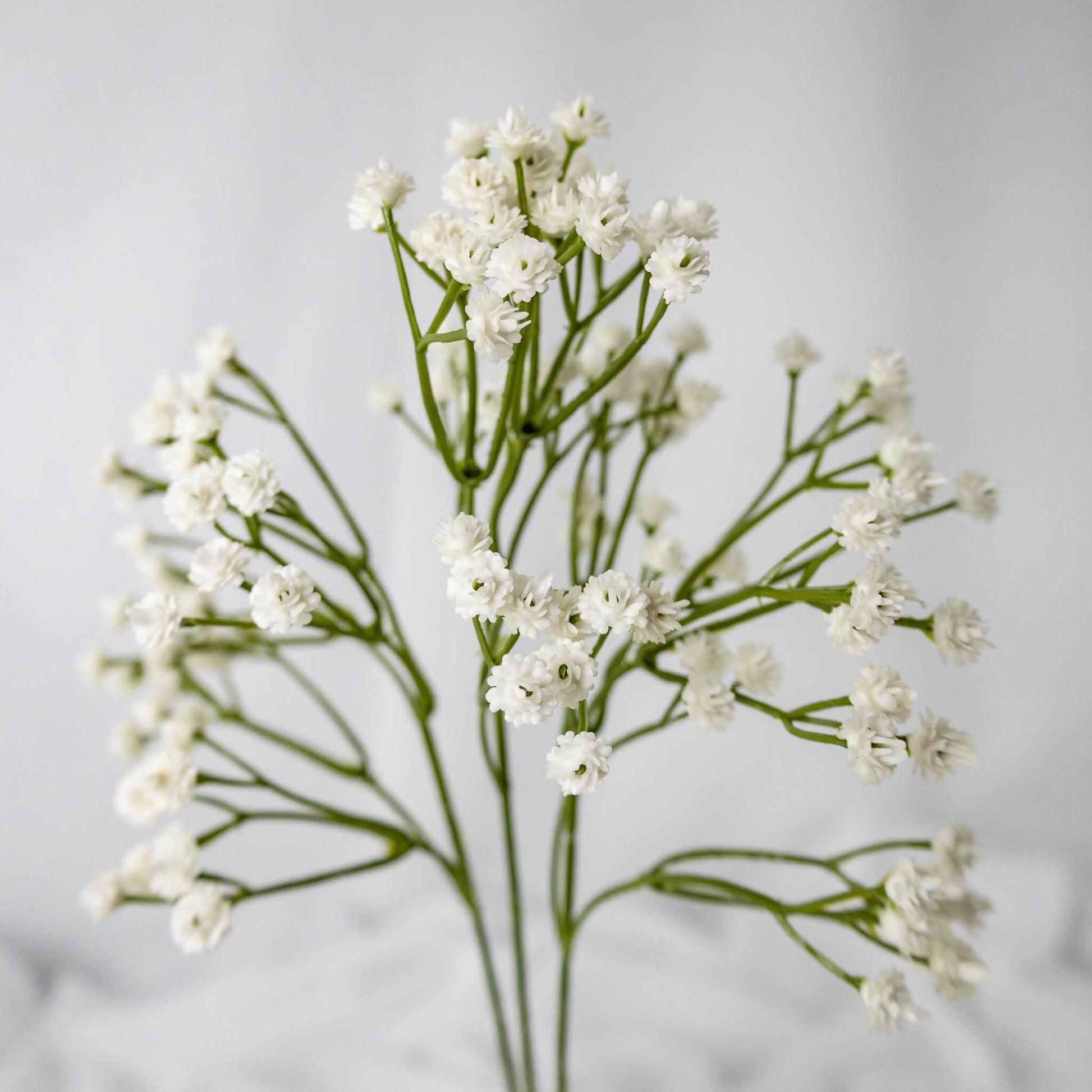 artificial Baby's Breath (Gypsophila)
