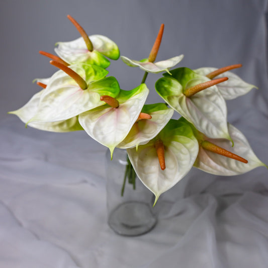 Anthurium Small White/Green - Realistic Artficial Flowers