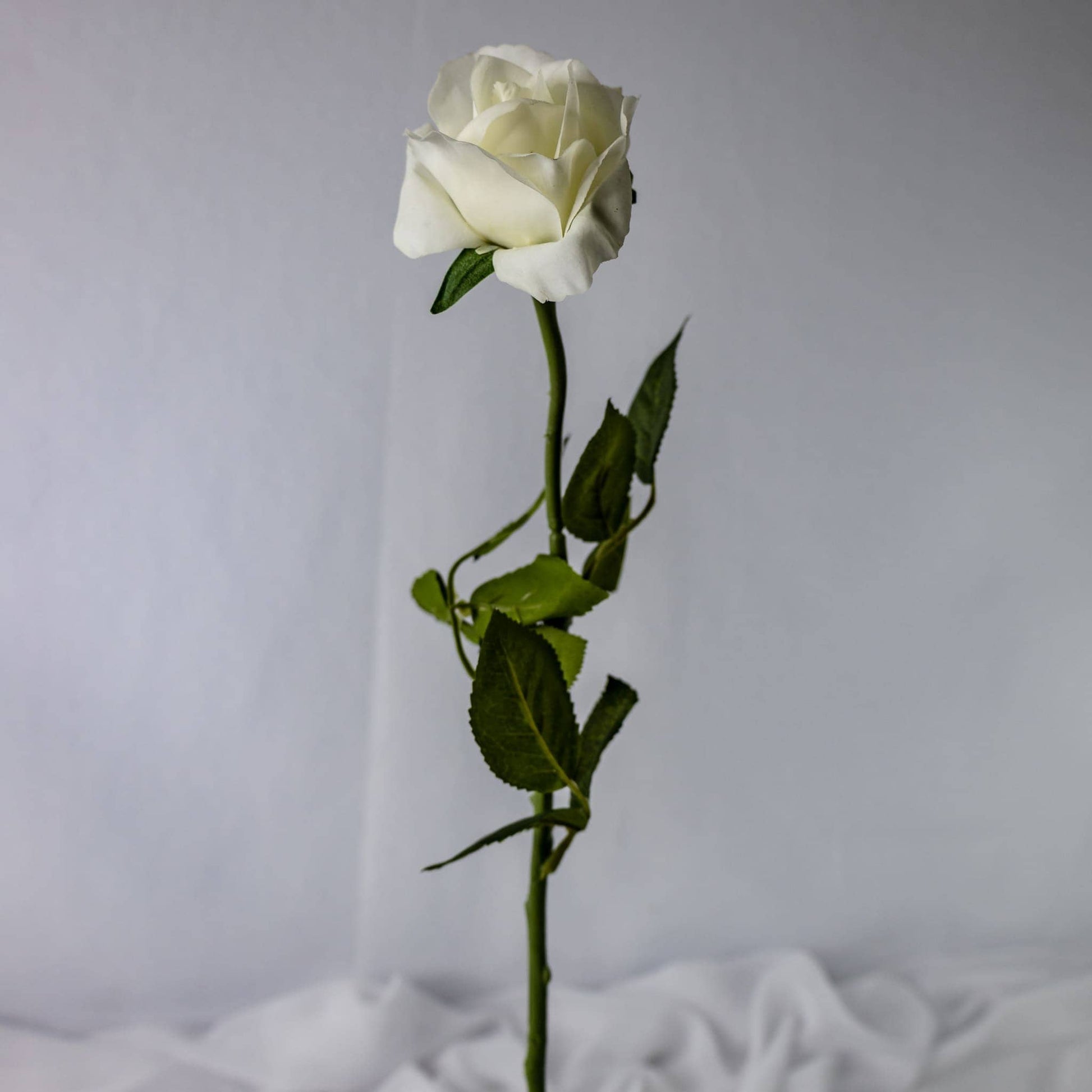 White Real Touch Open Bloom Rose - Realistic Artificial Flowers