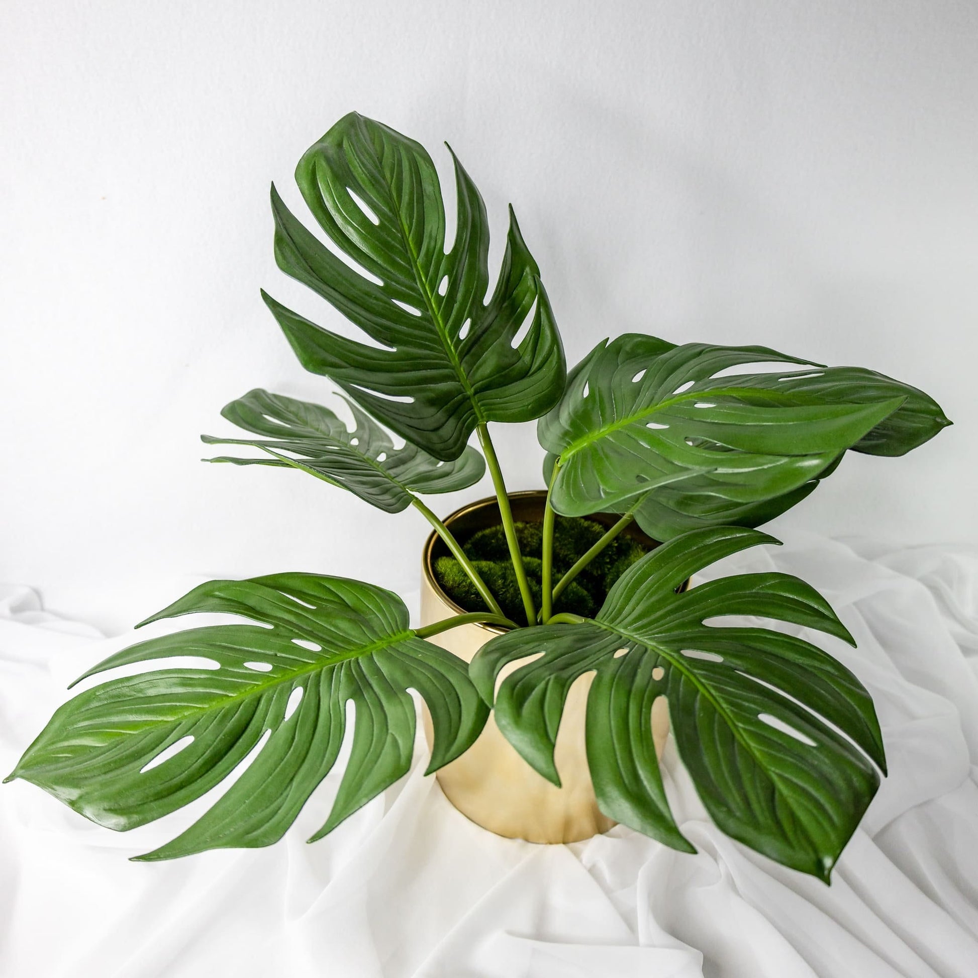 artificial small monstera leaves placed in gold vase