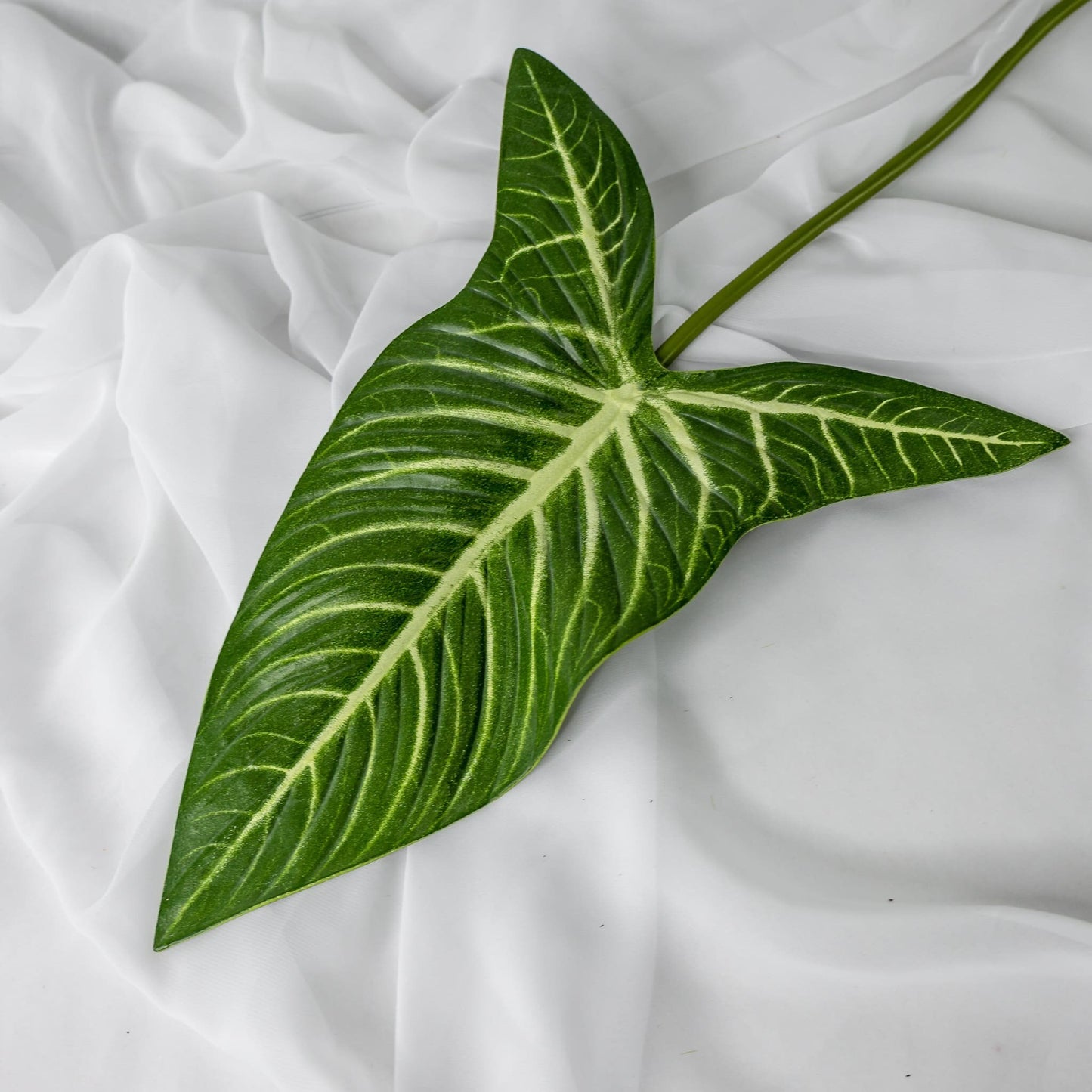 artificial Xanthosoma Leaf