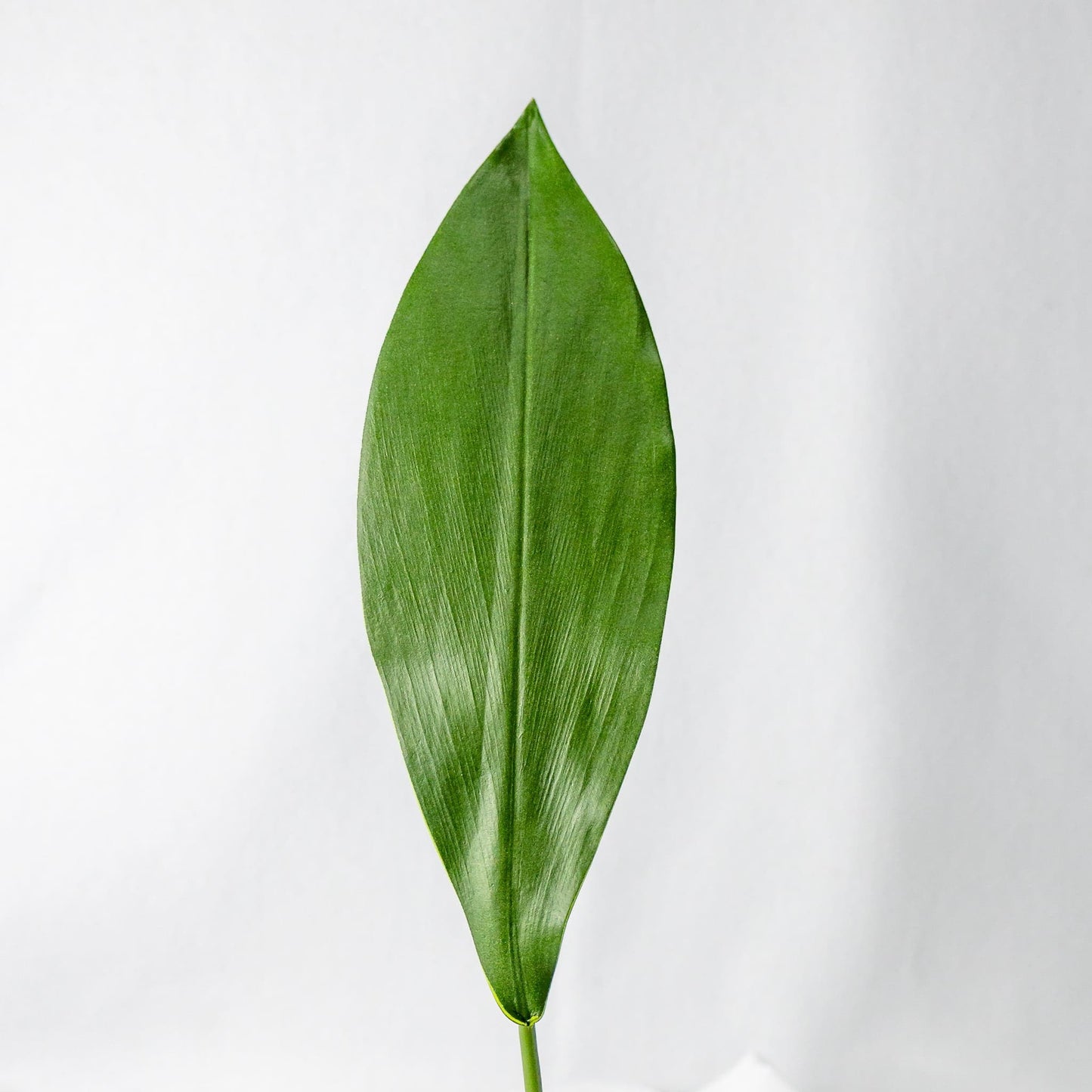 artificial small calla leaf