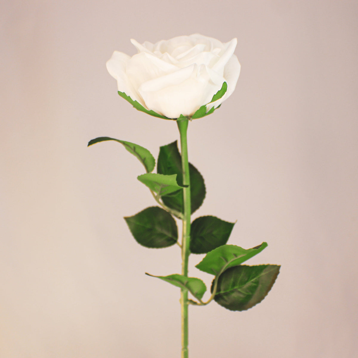 Realistic Roses White Large Real Touch Rose - Realistic Artificial Flowers