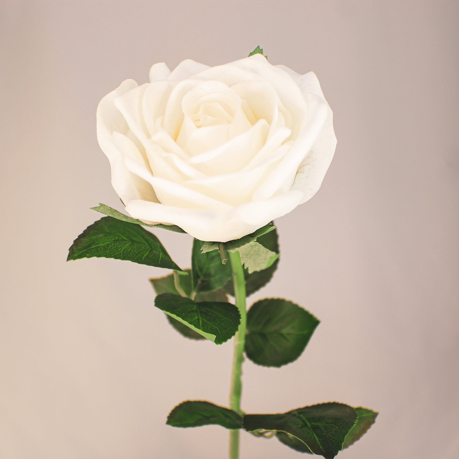 White Large Real Touch Rose - Realistic Artificial Flowers