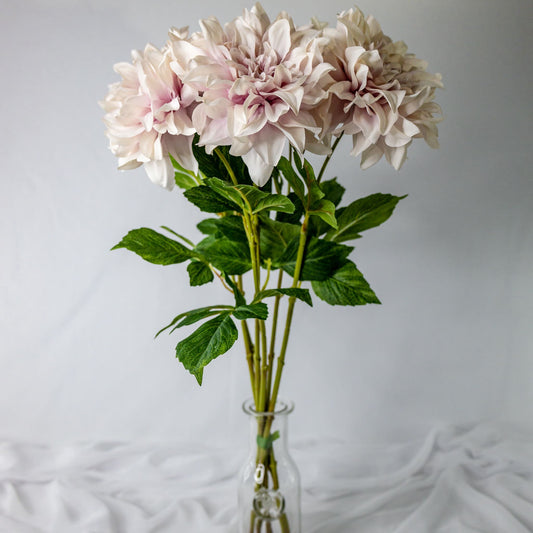 artificial dusty pink dahlias placed in clear glass vase