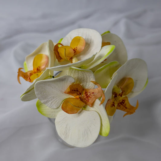 artificial Phalaenopsis flowerheads placed in transparent glass vase