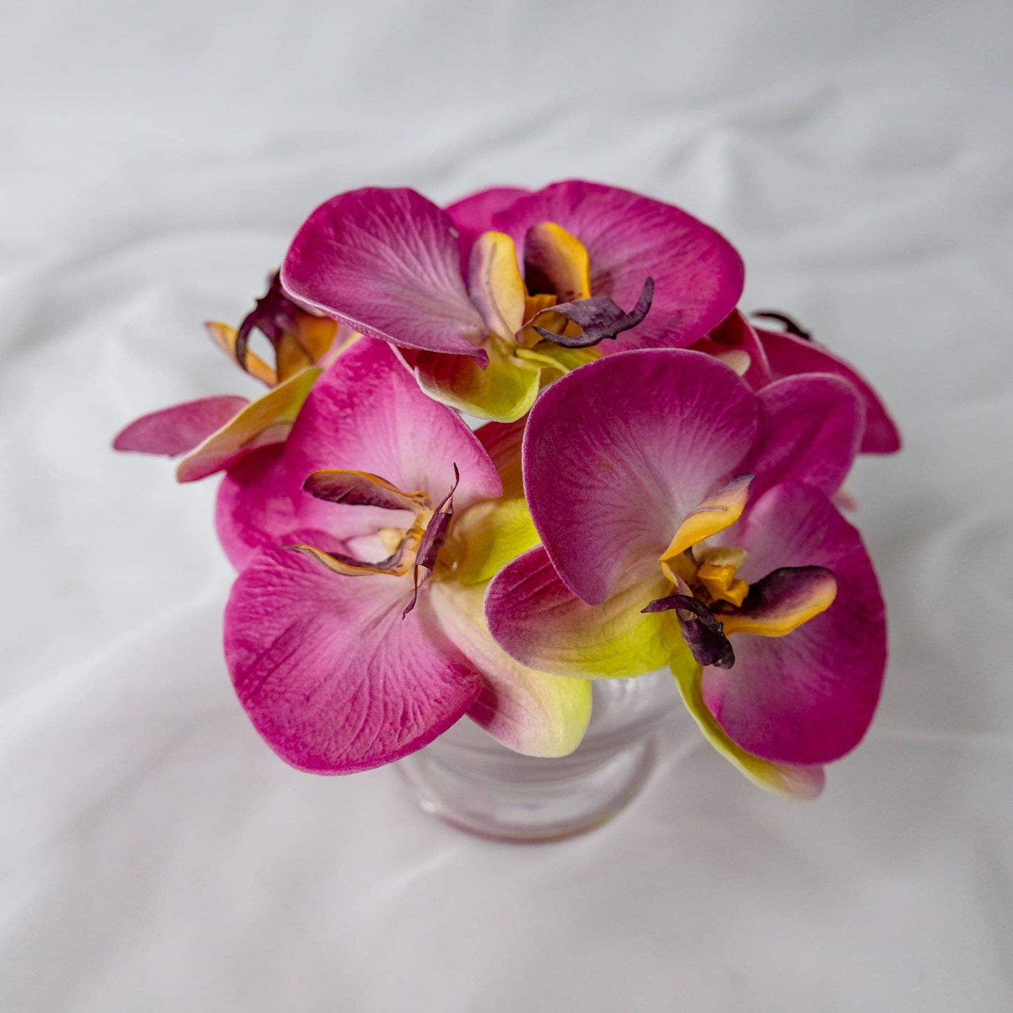 artificial purple pink phalaenopsis flowers placed in transparent glass vase