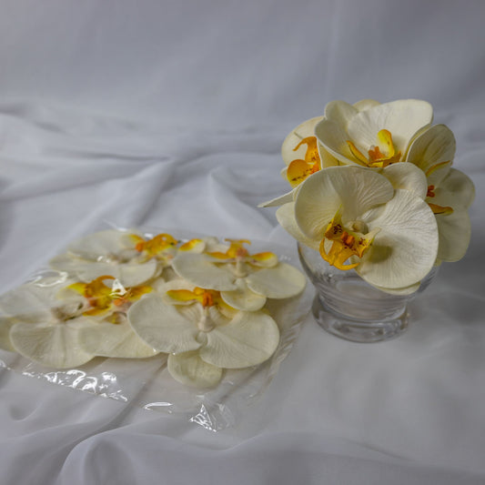 artificial white and yellow phalaenopsis in clear glass vase