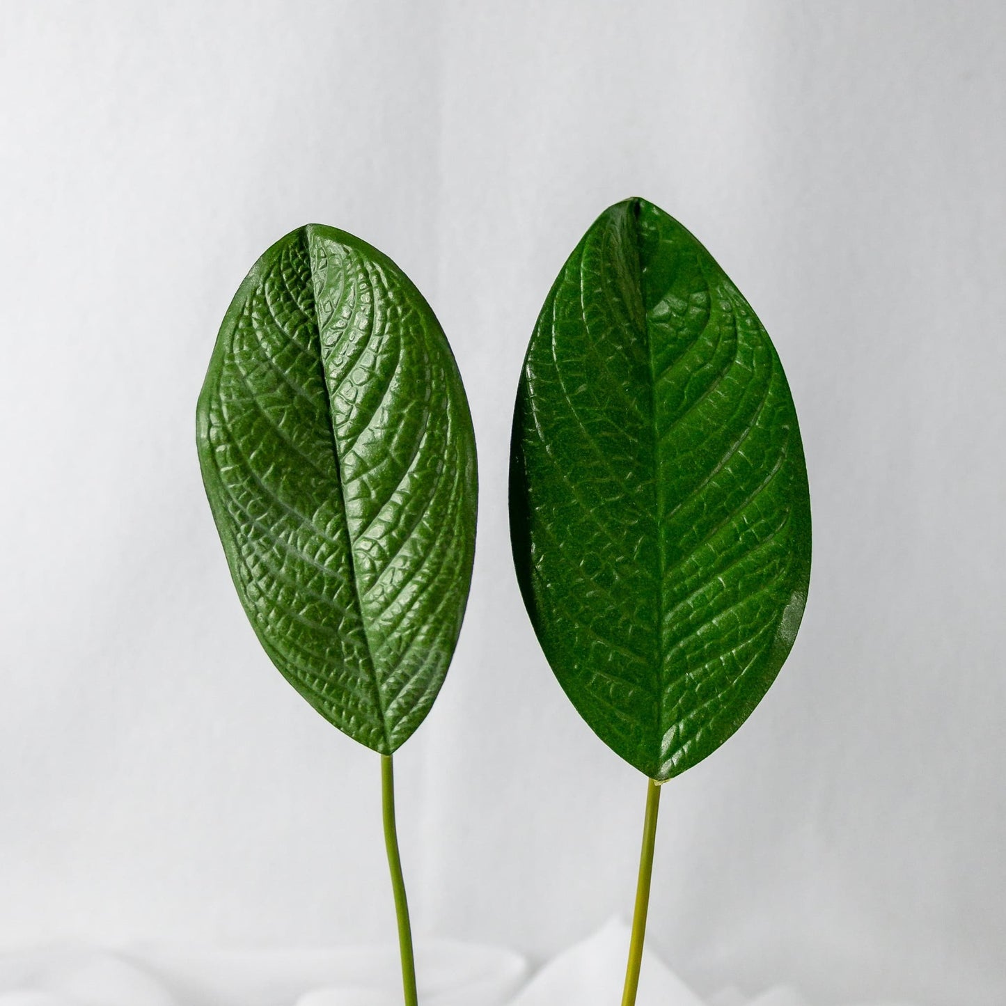 artificial small magnolia leaves