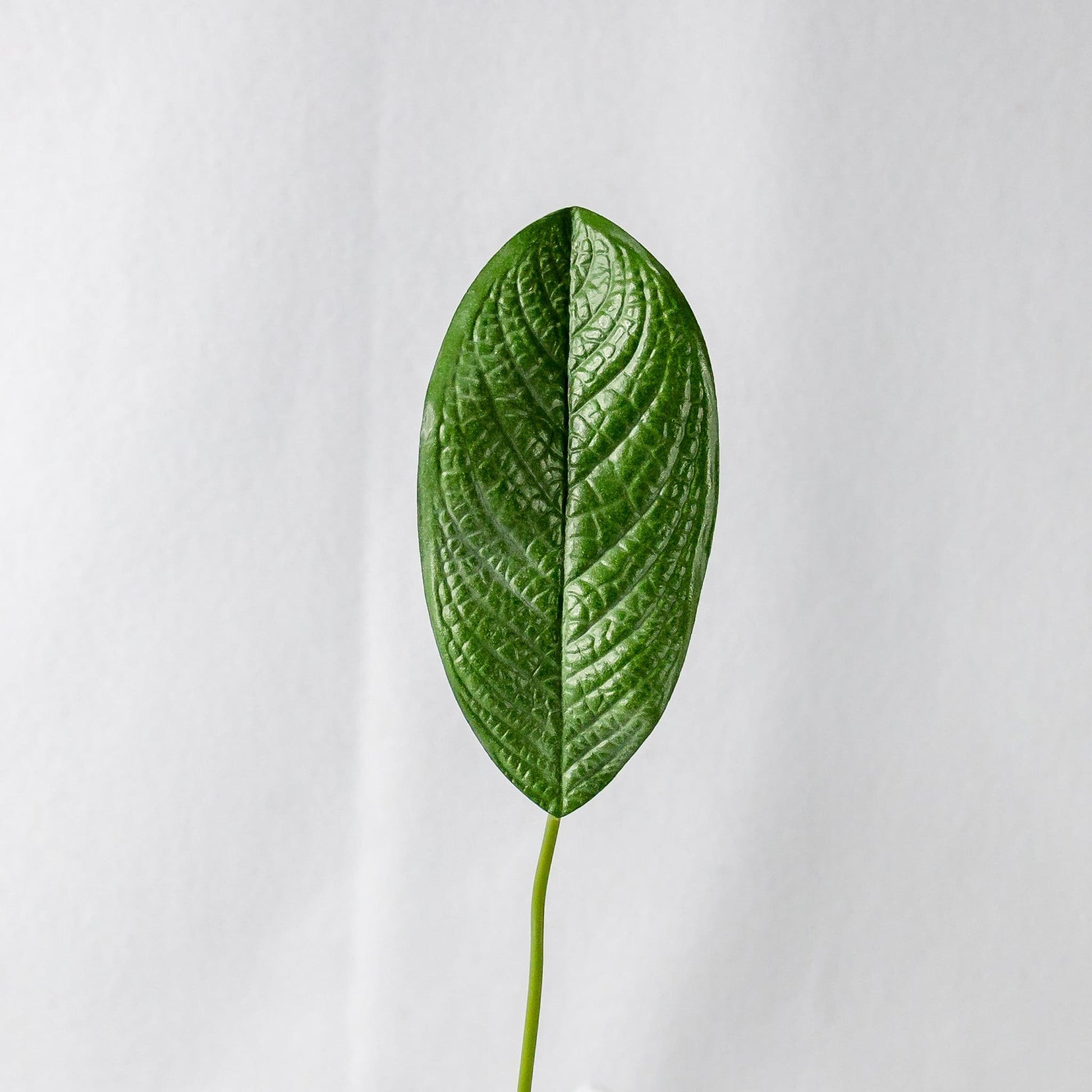 artificial small magnolia leaf