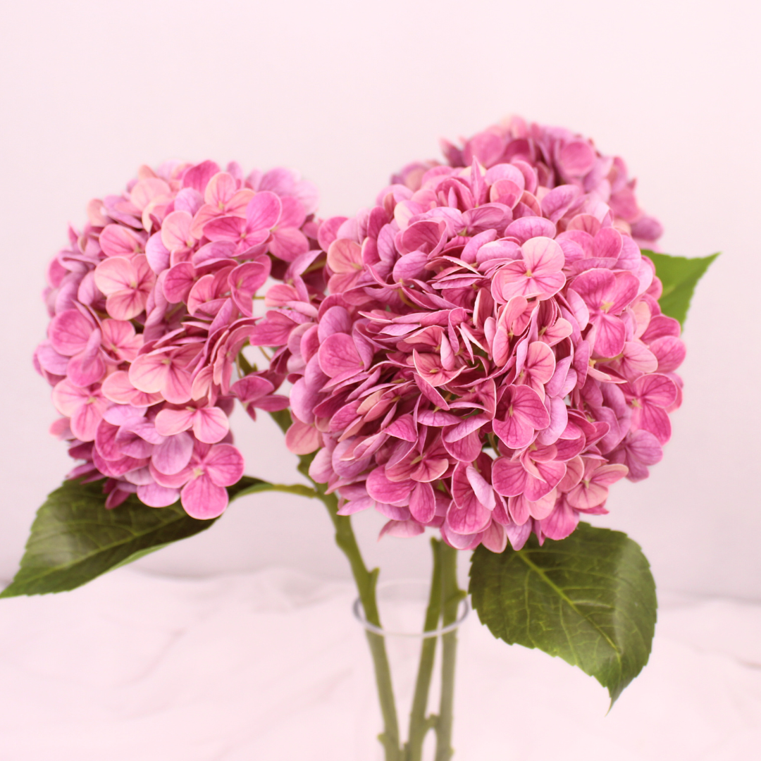 Dark Pink Real Touch Medium Hydrangea  - Realistic Artificial Flowers