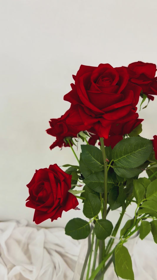 10 Red Rose Bouquet Gift Wrapped