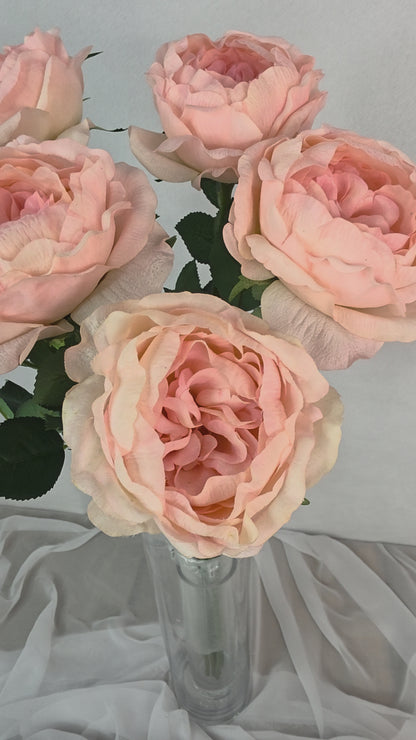Pink David Austin Half Bloom Real Touch Rose