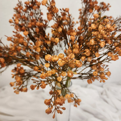 Rust Native Babies Breath - Realistic Artificial Flowers