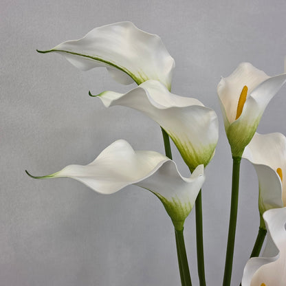 White Long Stem Calla - Realistic Artificial Flowers