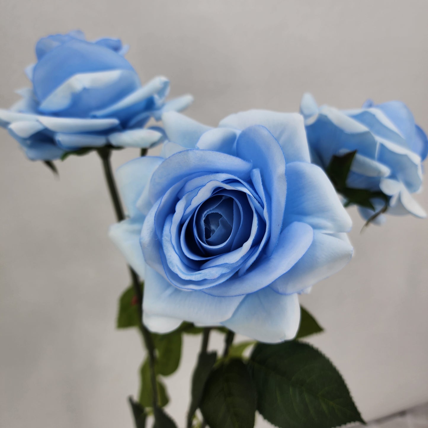Ice Blue Royal Real Touch Rose
