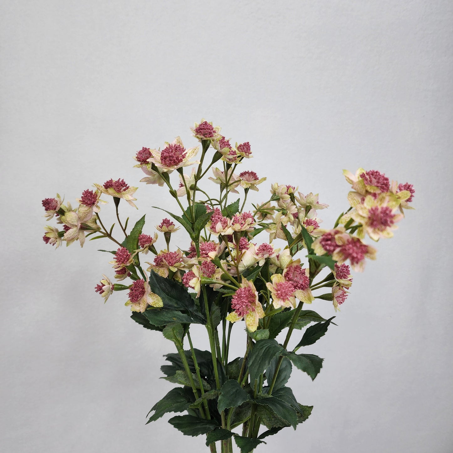 Astrania Pink - Realistic Artificial Flowers