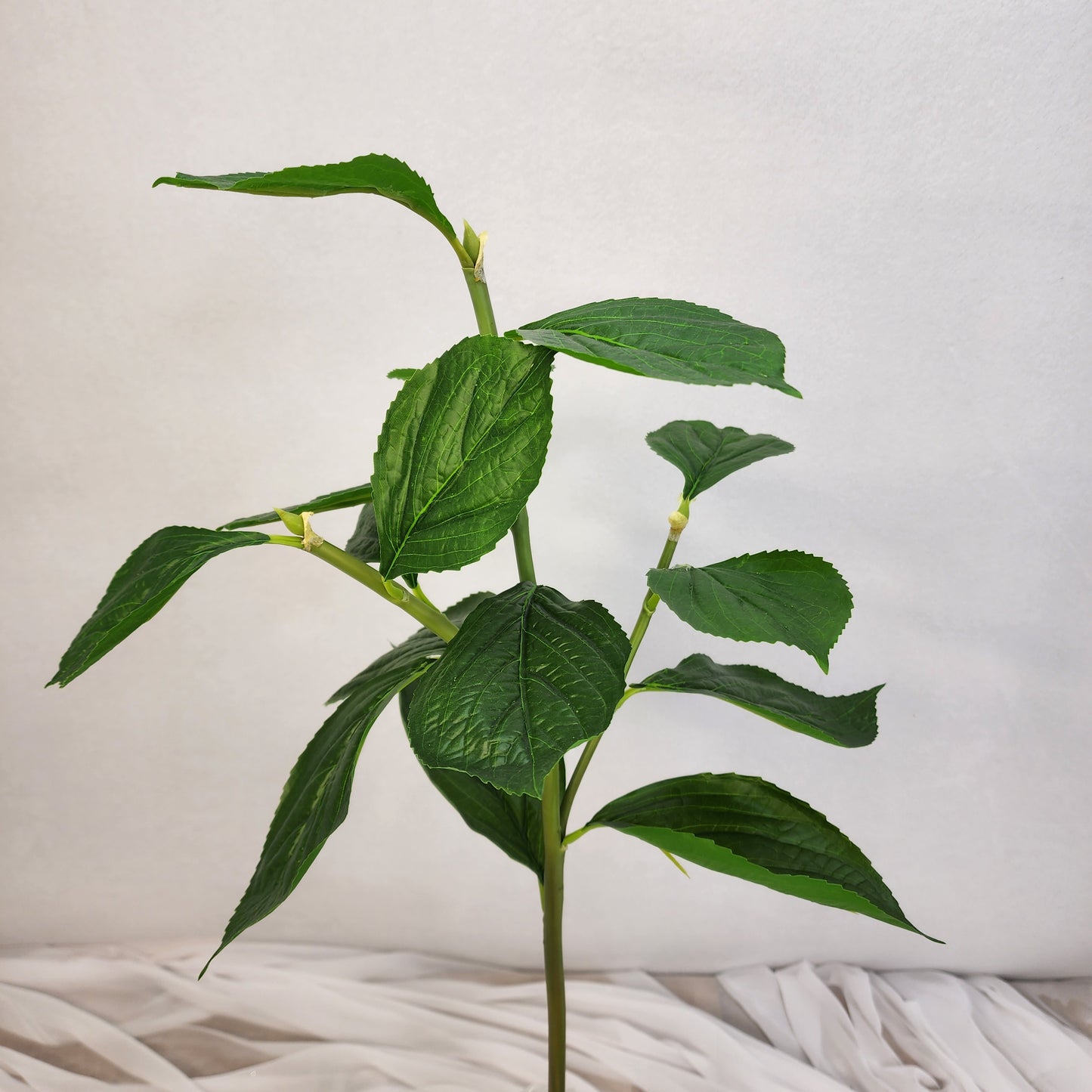 Hydrangea Leaf Spray