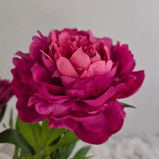 Dark Pink Peony Bloom Large - Realistic Artificial Flowers