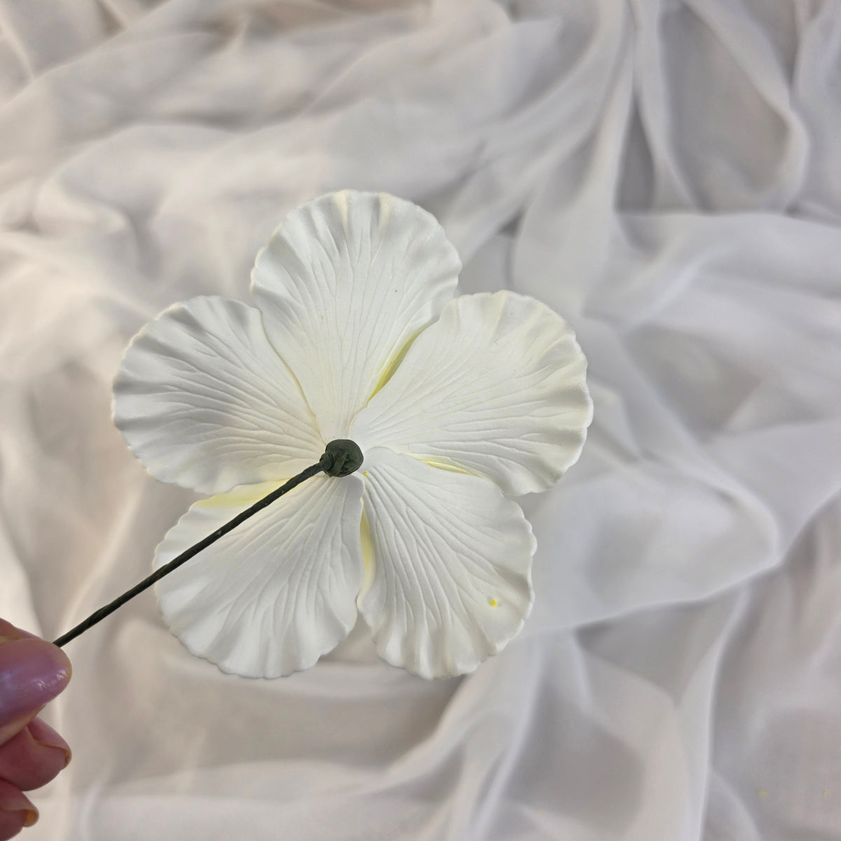 White/Yellow Hibiscus 11.5 cm Flowerhead
