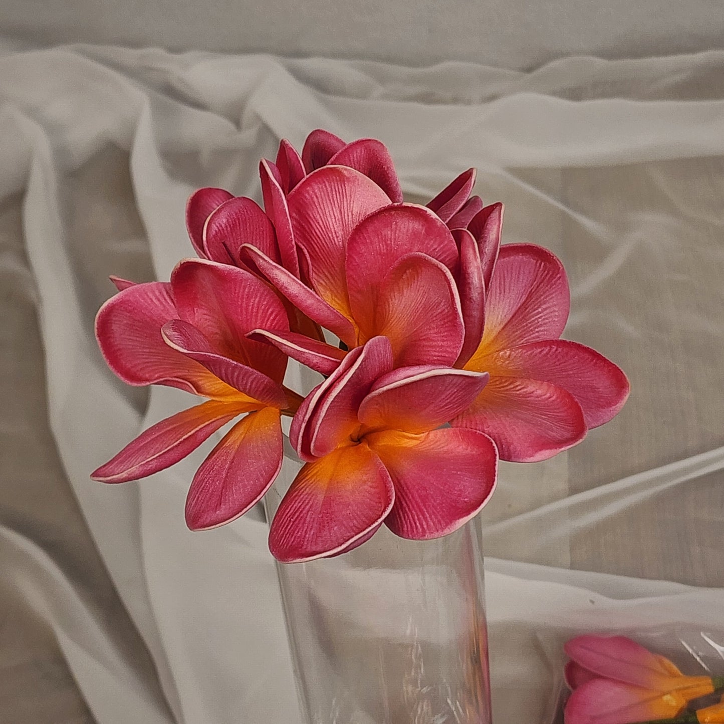 Fiji Frangipani Flowerhead ( 6 Pack )