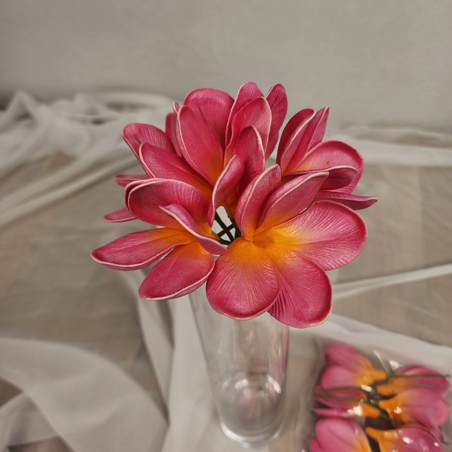 Fiji Frangipani Flowerhead ( 6 Pack )