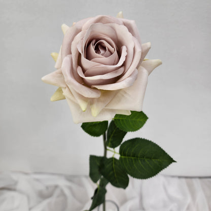 Quick Sand Royal Real Touch Rose