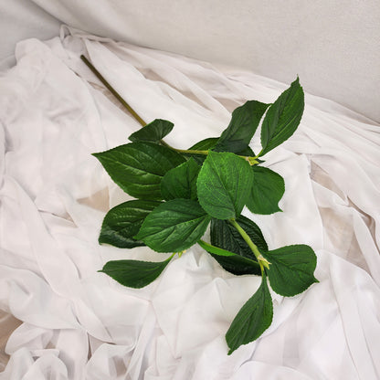 Hydrangea Leaf Spray