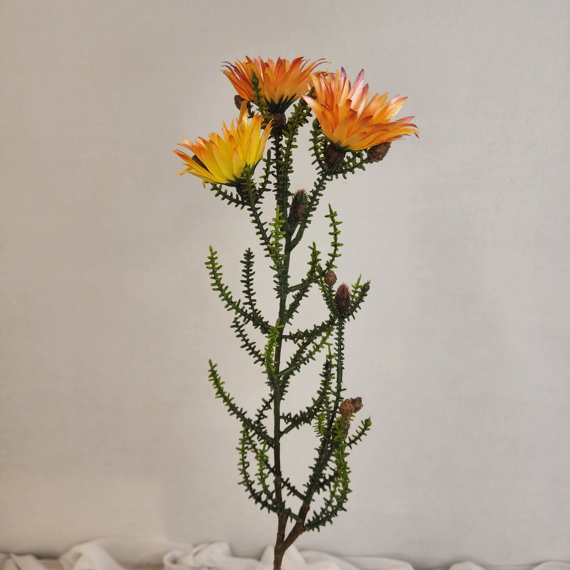 Desert Daisy Orange- Kaaps Flower , Realistic Artificial Flowers
