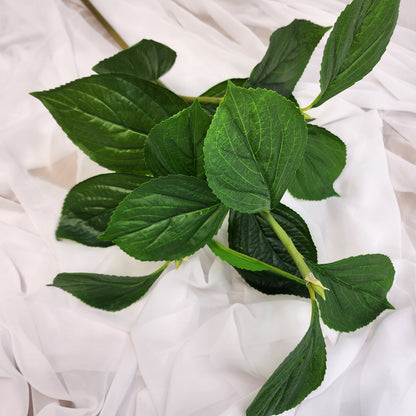 Hydrangea Leaf Spray