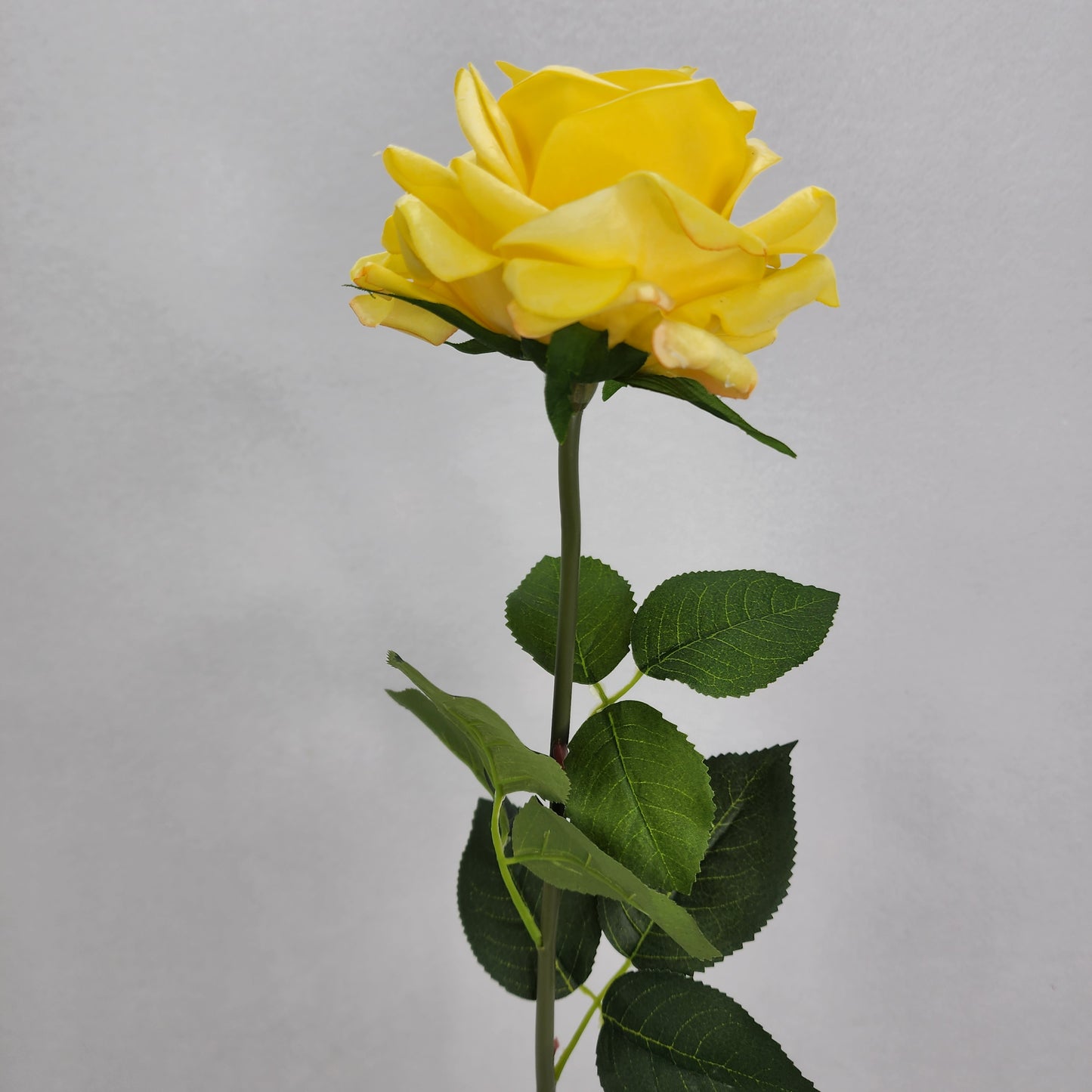 Yellow Royal Real Touch Rose