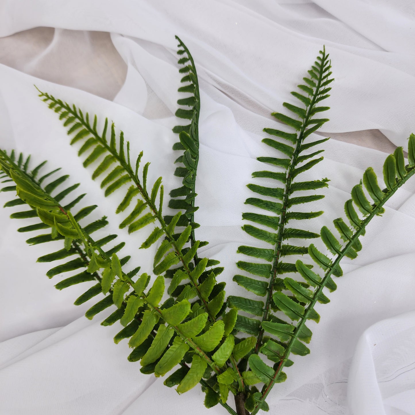 Fishbone Fern Small - Real Touch Greenery