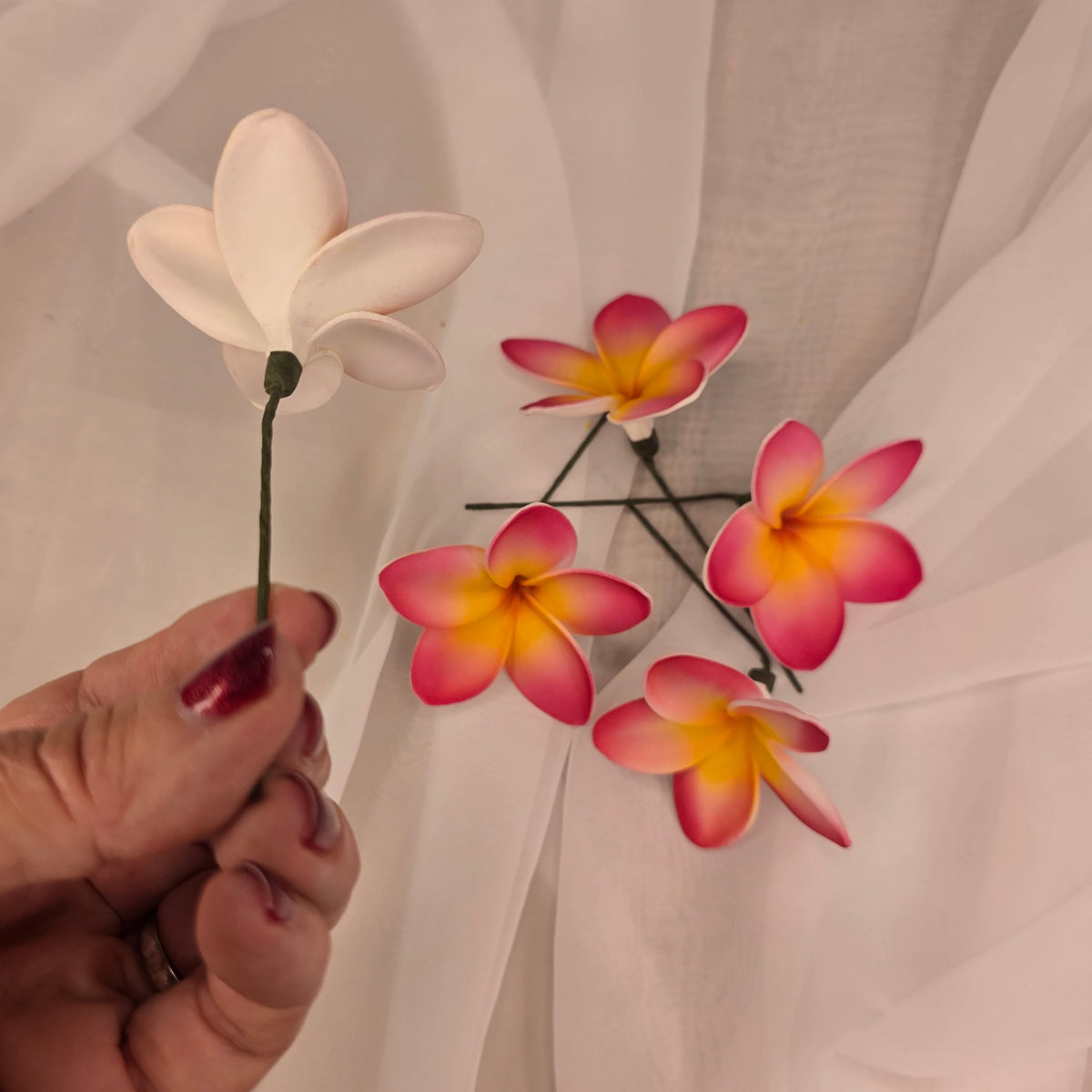 Dark Pink/White/Yellow Frangipani 7cm Flowerhead